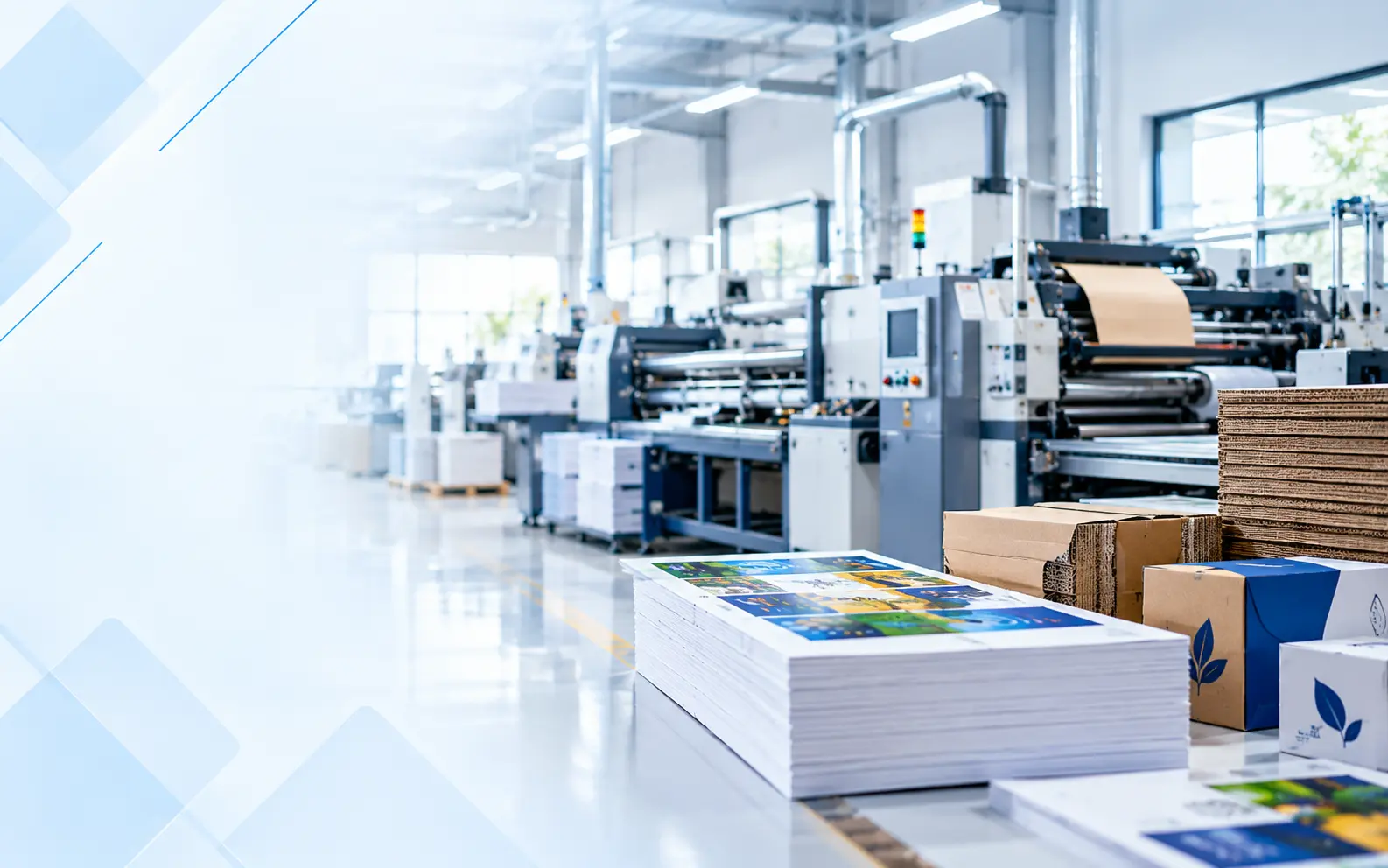 Printing and corrugation machines with finished sheets and boxes at Payorite's facility